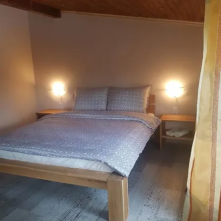 Pansion Carolija Bed & Breakfast Vlasic